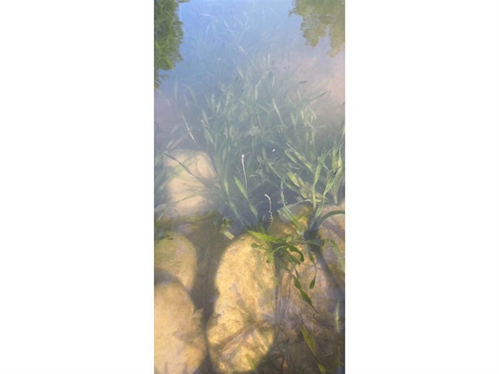 工程案例