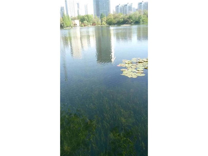 工程案例
